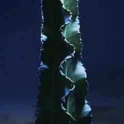 DIOR Sauvage The Cleanser Face Cleanser