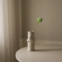 Scabiosa Seed Pod Flower>Botané Discount