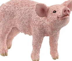 grise unge>Schleich Hot