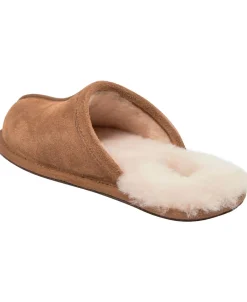 Scuff><noscript><img width=