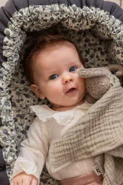 Børn Sebra 3-i-1 Babynest, blue olive