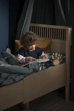 Sebra Sengen, Baby & Jr. , Wooden Edition Online