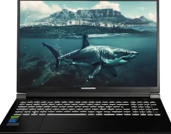 SharkGaming 9G17-70 Ti I9 Laptop>Shark Gaming Best