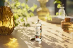 Shea Body Mist>The Body Shop Discount