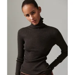 Sierra - Daily Elements><noscript><img width=