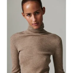 Sierra - Daily Elements><noscript><img width=