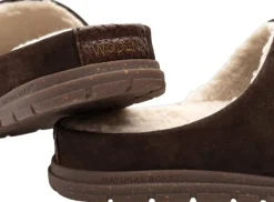 Dame Woden Silvi Warm II