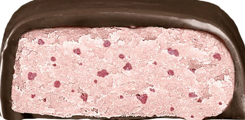 Simply Chocolate Simply® FLEXI FLORA Proteinbar (40g) Clearance