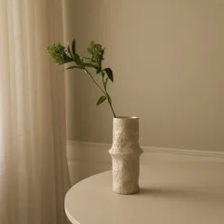 Botané Skimmia Berry Branch Clearance