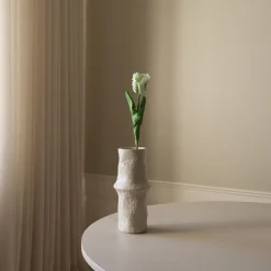 Botané Small Parrot Tulip Flower