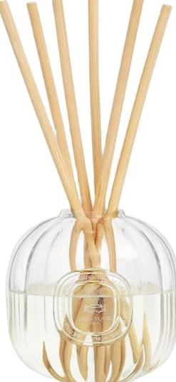 Diptyque Small reed diffuser glass container 100 ml Best