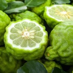 Single Flowers Perfume Solid parfume - Bergamot No. 06