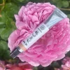 Single Flowers Perfume Solid parfume - Rose Otto No. 35