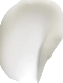 The Ordinary Squalane & Amino Acids Lip Balm Best