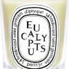 Standard candle Eucalyptus>Diptyque Online