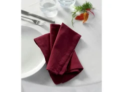 Stofservietter 45x45 cm Rumba red>Bastian Hot