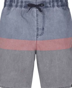 Firefly STRP19 Mederic Swim Shorts