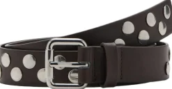 MANGO Studded belt Dark brown Hot