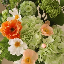 Botané Sunlit Harmony