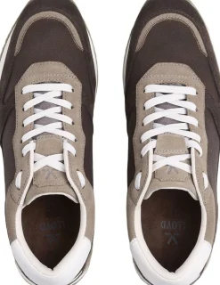 Lloyd SWIFT Multicolor Hot