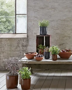 Knabstrup Keramik Syltekrukke, brun, 1 l Terracotta Online