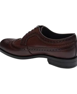 BOSS Tayil_Derb_bubr Dark brown New