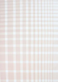 Magasin du Nord Collection Tea Towels 50x70 cm ENZO - Check rose