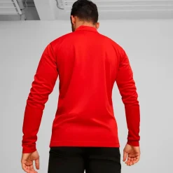 Puma Teamgoal 1/4 Zip Trænings Trøje Orange New