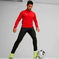 Puma Teamgoal 1/4 Zip Trænings Trøje Orange New