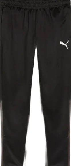 Puma Teamgoal Bukser