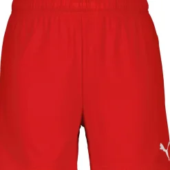 TeamGOAL Dame Shorts>Puma Online