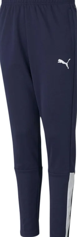 Puma Teamliga Training bukser Blå Best