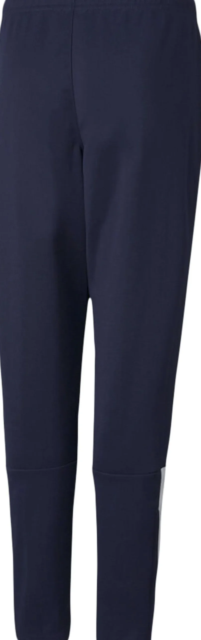 Puma Teamliga Training bukser Blå Best