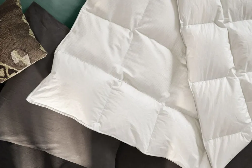 Quilts of Denmark Temprakon dyne (sval) Online