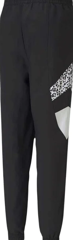 TFS Track bukser>Puma Best