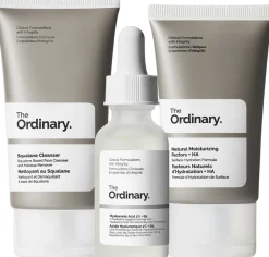 The Ordinary The Daily Set