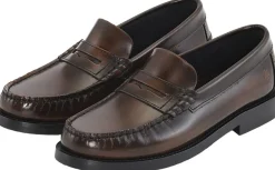 The Norah>Playboy New