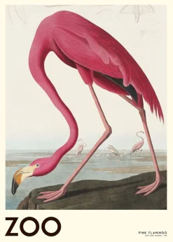 Poster & Frame The Zoo Collection Pink Flamingo Edt. 001 Flerfarvet New