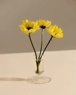 Tiny Vase-Clear>Hay Discount