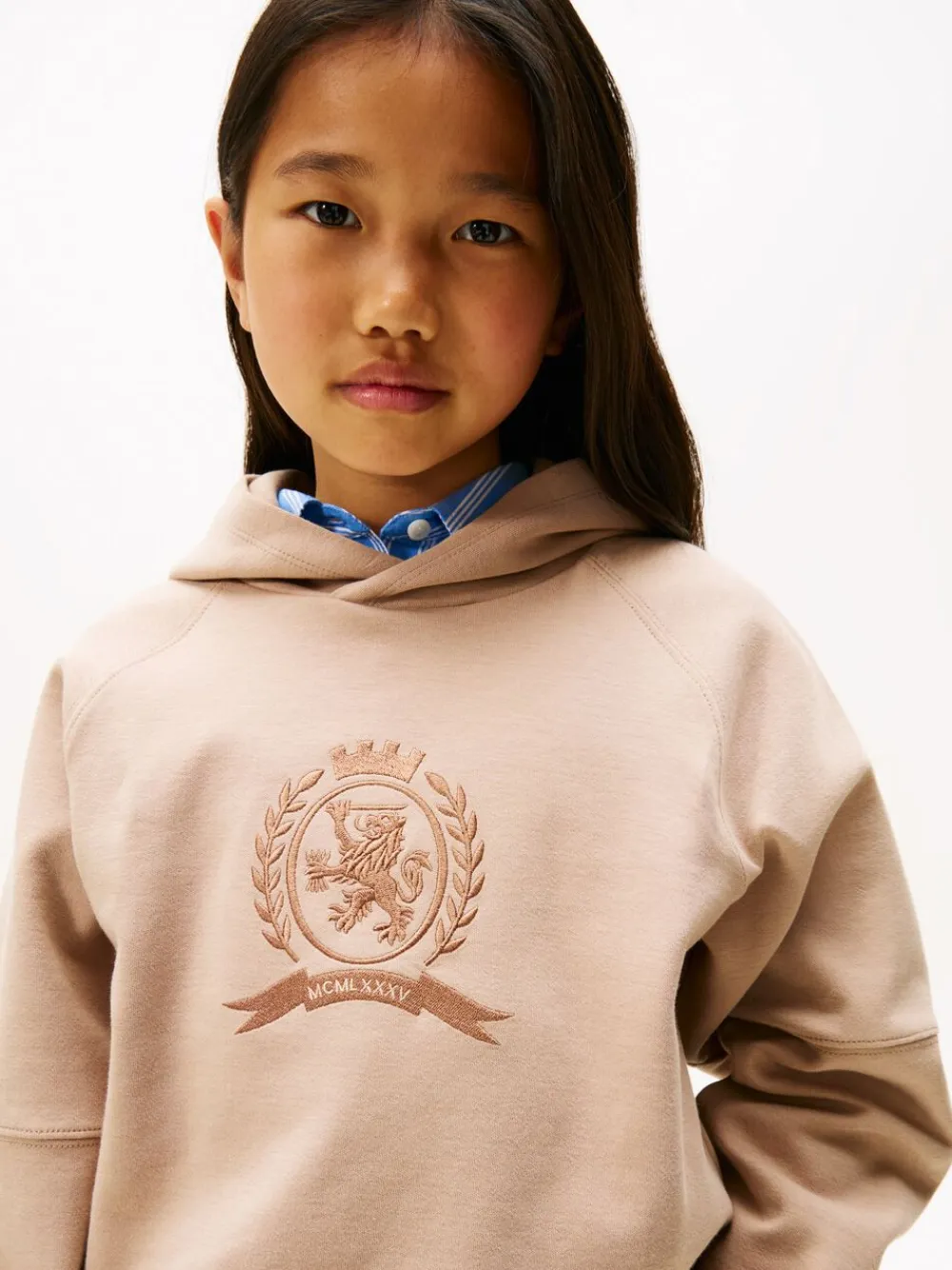 Tommy Hilfiger TONAL CREST HOODIE Malted milk