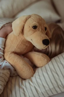 TYNGDEDYR HUND. 2,2 KG><noscript><img width=