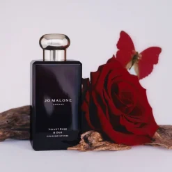 Velvet Rose & Oud Cologne Intense><noscript><img width=