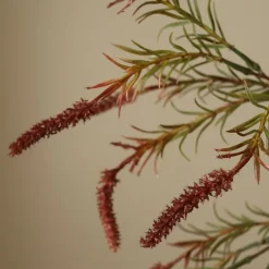 Botané Veronica Branch New