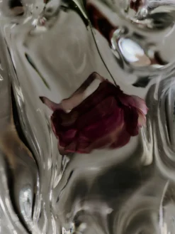 Virelle Vase - H18 - Clear><noscript><img width=