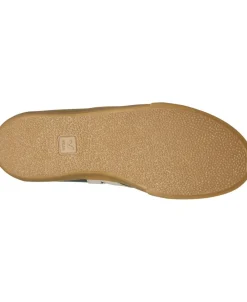 Volley><noscript><img width=