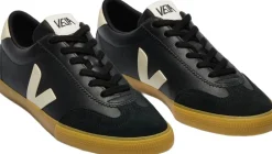 Volley><noscript><img width=