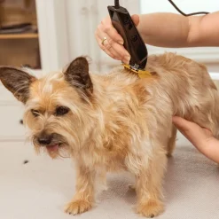 Hundeklipper Multicut><noscript><img width=