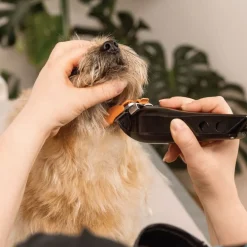 Hundeklipper Multicut><noscript><img width=