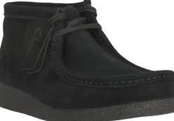 WallabeeEVO Bt G><noscript><img width=