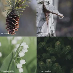 Skandinavisk Wash SKOG 500ml Hot